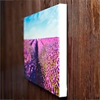 Vászonfehérszegély