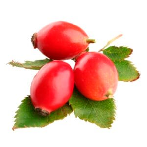 Csipkebogyó pálinka címke