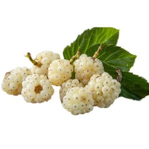 Faeper fehér pálinka címke