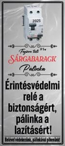 Villanyszerelőfi 50x115